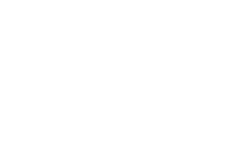 RNEW overlay design